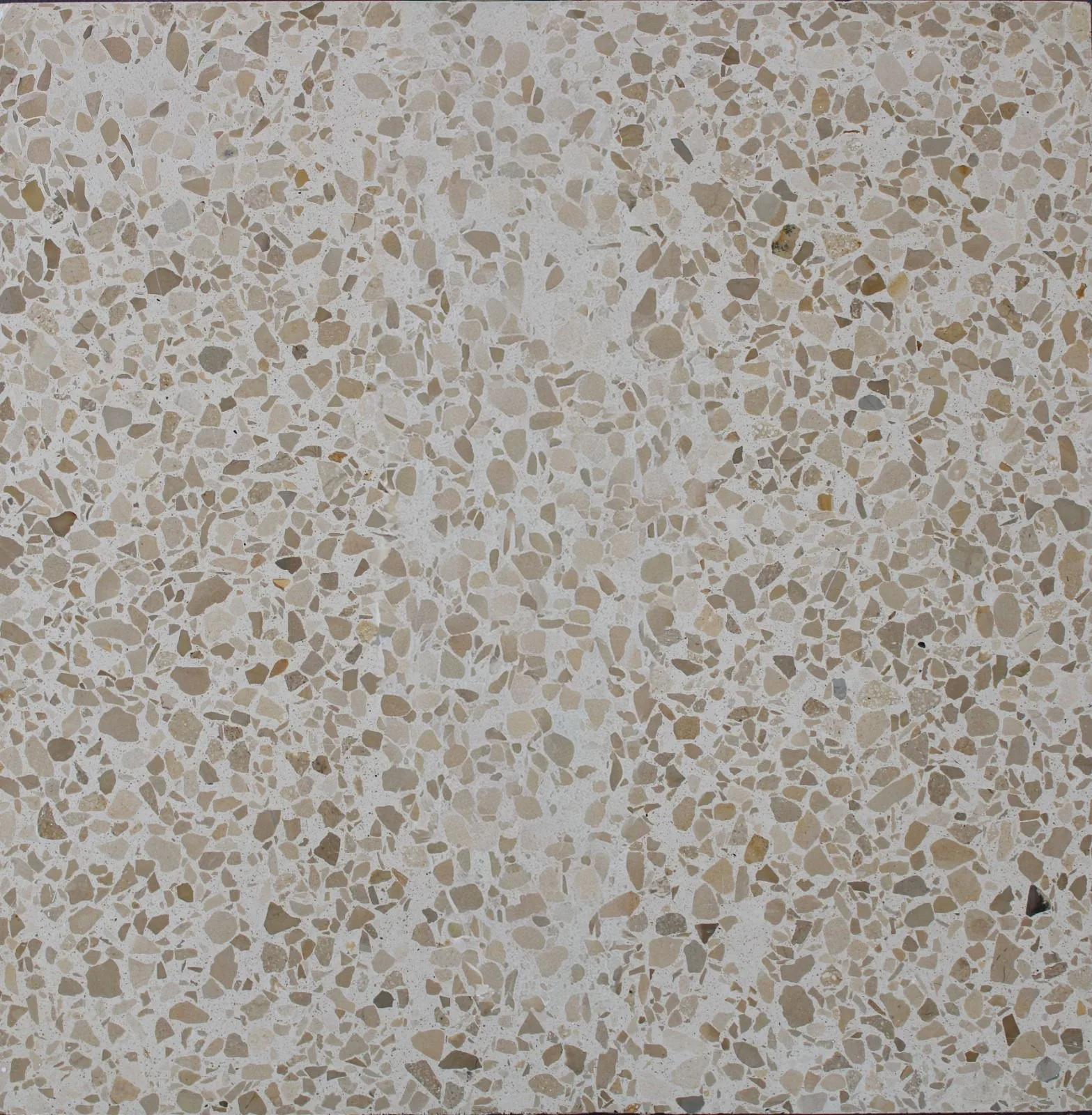 Baldosa de terrazo BAEC INT-10 — Interior 10